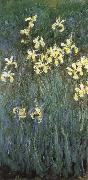 Claude Monet Yellow Irises France oil painting reproduction
